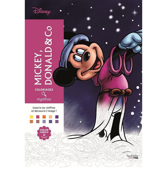 Donald & Co Color by number book