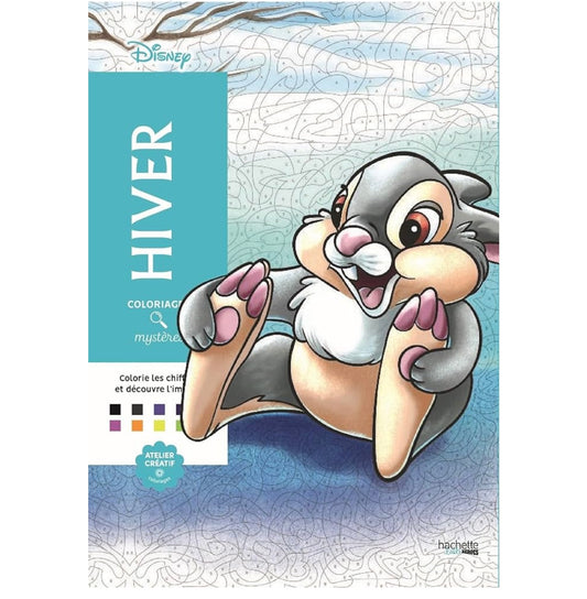 Hiver rabbit Color by number book